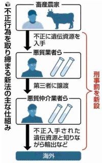 不正行為を取り締まる新法の主な仕組み