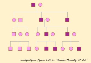 Y染色体連鎖形質の家系図の例